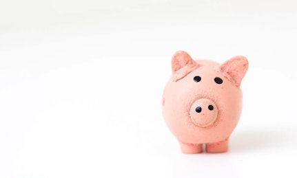 a piggy bank