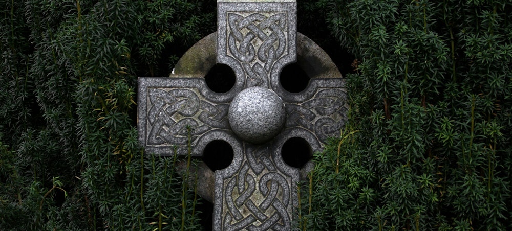 A celtic cross emerging from a yew tree
