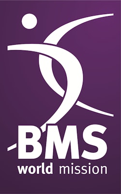 BMS logo STAND ALONE