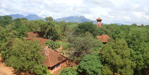File0035-1024x768.jpg
